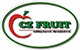 CZ Fruit logo